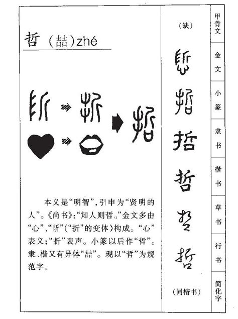 哲字五行|哲字五行属什么